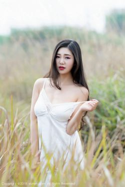 樱兰高中男公关部